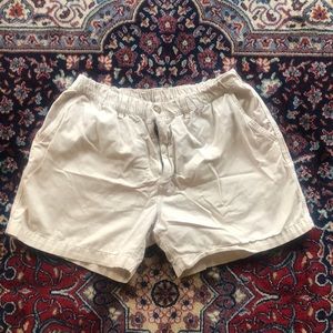Men’s Chubbies Khakinator shorts in Large